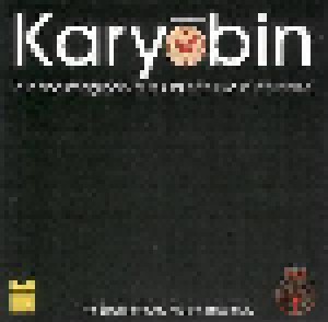 Cover - Spontaneous Music Ensemble: Karyobin