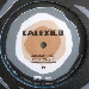Calexico: Edge Of The Sun (2-LP) - Bild 6