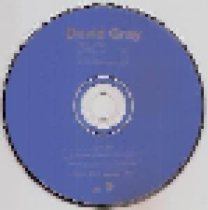 David Gray: White Ladder (Promo-Mini-CD / EP) - Bild 2