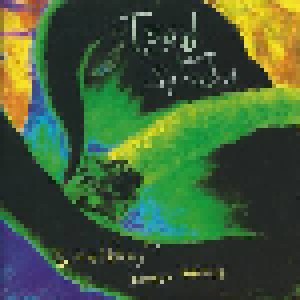 Toad The Wet Sprocket: Something's Always Wrong (Single-CD) - Bild 1