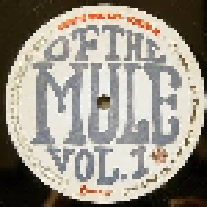 Gov't Mule: Stoned Side Of The Mule Vol.1 & 2 (2-LP) - Bild 6