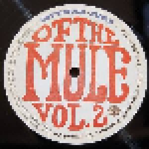 Gov't Mule: Stoned Side Of The Mule Vol.1 & 2 (2-LP) - Bild 8