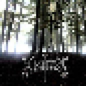 Moonfrost: ...Towards The Twilight Realm (CD) - Bild 1