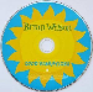 Brian Wilson: Good Vibrations (Promo-Single-CD) - Bild 4