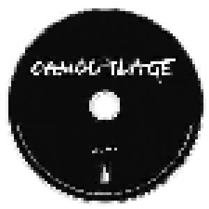 Camouflage: Greyscale (Promo-CD) - Bild 3