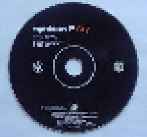 System F: Cry (Single-CD) - Bild 3