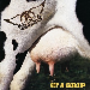 Aerosmith: Get A Grip (CD) - Bild 1