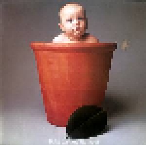 Barclay James Harvest: Baby James Harvest (LP) - Bild 1