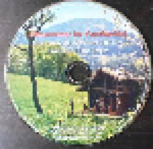 Hans Berger Ensemble: Almsommer Im Auerbachtal (CD) - Bild 3