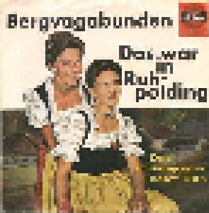 Cover - Chiemgauer Jodlerduo, Die Rauschberger Plattlerbuam Und Die Ruhpoldinger Musikanten, Das: Bergvagabunden