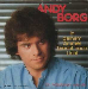 Cover - Andy Borg: In Deinem Zimmer Brennt Noch Licht