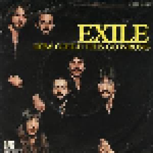 Exile: How Could This Go Wrong (7") - Bild 2