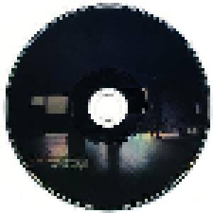 Anoice: Ruined-Hotel Sessions (Mini-CD / EP) - Bild 3