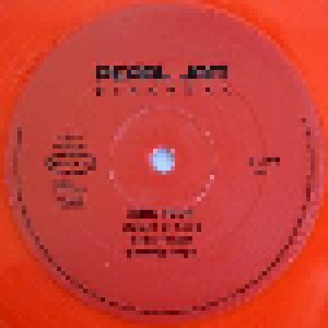 Pearl Jam: Binaural (2-LP) - Bild 10