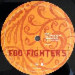 Foo Fighters: Skin And Bones (2-LP) - Bild 5