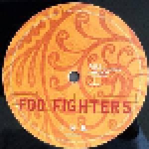 Foo Fighters: Skin And Bones (2-LP) - Bild 6