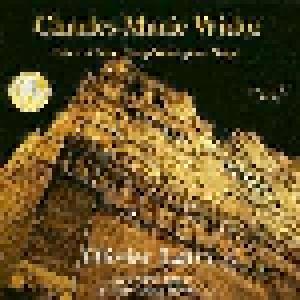 Charles-Marie Widor: 5e & 6e Symphonies Pour Orgue - Cover