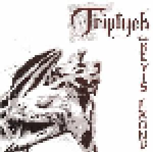 The Bevis Frond: Triptych (2-LP) - Bild 1