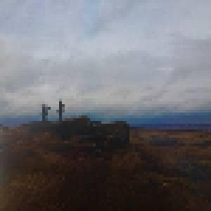 Petrels: Flailing Tomb (LP) - Bild 3