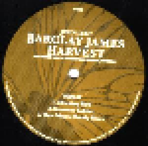 John Lees' Barclay James Harvest: Recorded Live In Concert At Metropolis Studios, London (2-LP) - Bild 3
