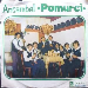 Cover - Ansambel Pomurci: Ansambel Pomurci