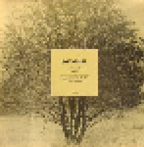 Antonín Dvořák: Sinfonie Nr.1 C-Moll (LP) - Bild 1