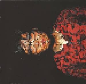 Björk: Selmasongs (CD) - Bild 3