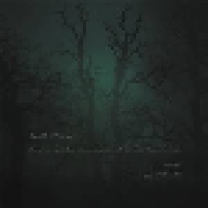 David Sylvian: There's A Light That Enters Houses With No Other House In Sight (CD) - Bild 1