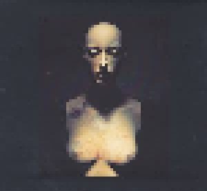 Steven Wilson: Grace For Drowning (2-CD) - Bild 5