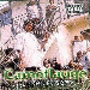 Cover - Camoflauge: I Represent