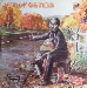 Muddy Waters: Chess Blues Master Series (2-LP) - Bild 1