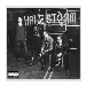 Halestorm: Into The Wild Life (CD) - Bild 1