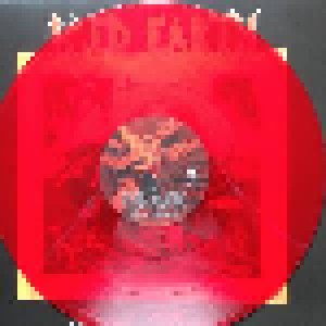 Iced Earth: Burnt Offerings (2-LP) - Bild 7