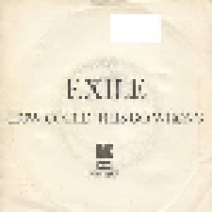 Exile: How Could This Go Wrong (7") - Bild 2