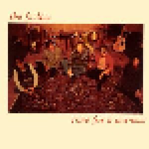 The Feelies: Time For A Witness (CD) - Bild 1