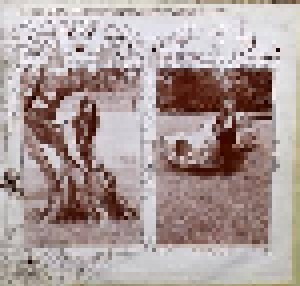 Savoy Brown: Looking In (LP) - Bild 3