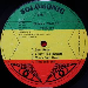 Bunny Wailer: Tribute (LP) - Bild 3
