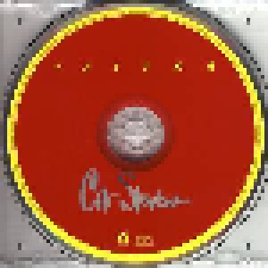 Cat Stevens: Izitso (CD) - Bild 3