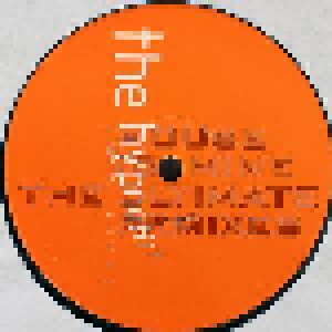 The Hypnotist: House Is Mine - The Ultimate Remixes (2-12") - Bild 2
