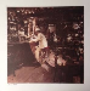 Led Zeppelin: In Through The Out Door (2-LP + 2-CD) - Bild 3