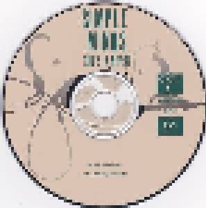 Simple Minds: She's A River (Single-CD) - Bild 3