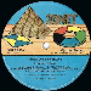 Lonnie Brooks Band: Turn On The Night (LP) - Bild 2