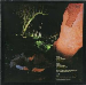 Echo & The Bunnymen: Crocodiles (LP) - Bild 4