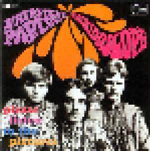 Kaleidoscope: Fairfield Parlour Please Listen To The Pictures - Cover