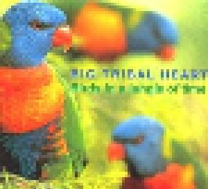 Cover - Big Tribal Heart: Birds In A Jungle Of Time