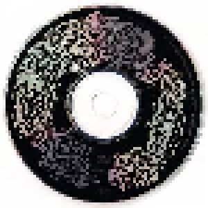 Sonic Youth: Bad Moon Rising (CD) - Bild 5