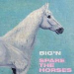 Cover - Big'n: Spare The Horses