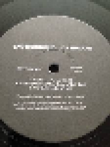 DJ Shadow: Endtroducing..... (LP) - Bild 4