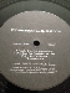 DJ Shadow: Endtroducing..... (LP) - Bild 8