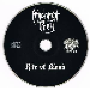 Midnight Prey: Rite Of Blood (Mini-CD / EP) - Bild 3